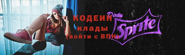 PSILOCYBIN Кодинск