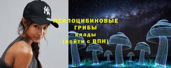 PSILOCYBIN Кодинск